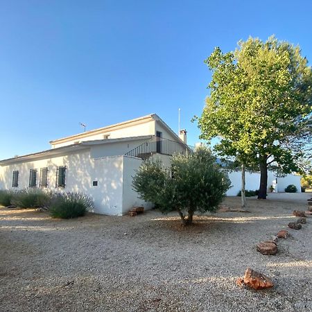 Gran Casa, Lagunas De Ruidera, Bbq, Porche, Chimenea Exterior foto
