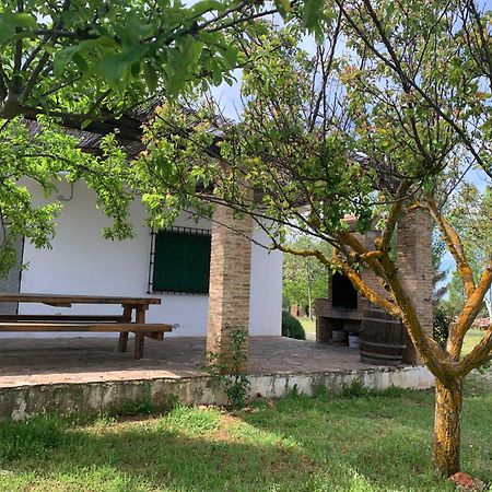 Gran Casa, Lagunas De Ruidera, Bbq, Porche, Chimenea Exterior foto