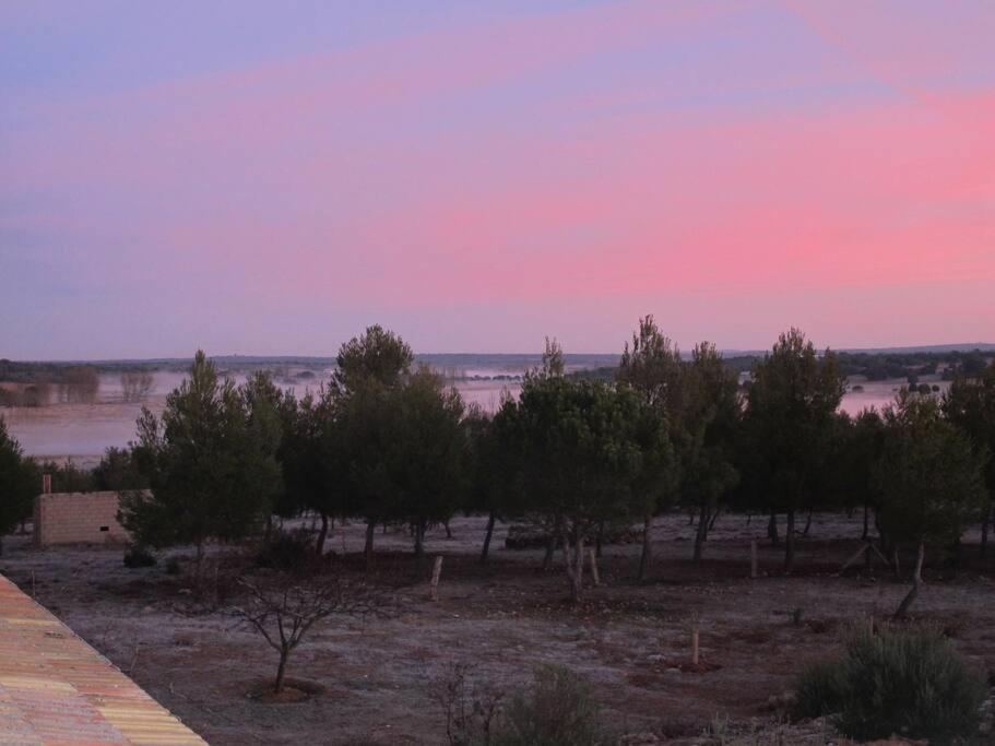 Gran Casa, Lagunas De Ruidera, Bbq, Porche, Chimenea Exterior foto