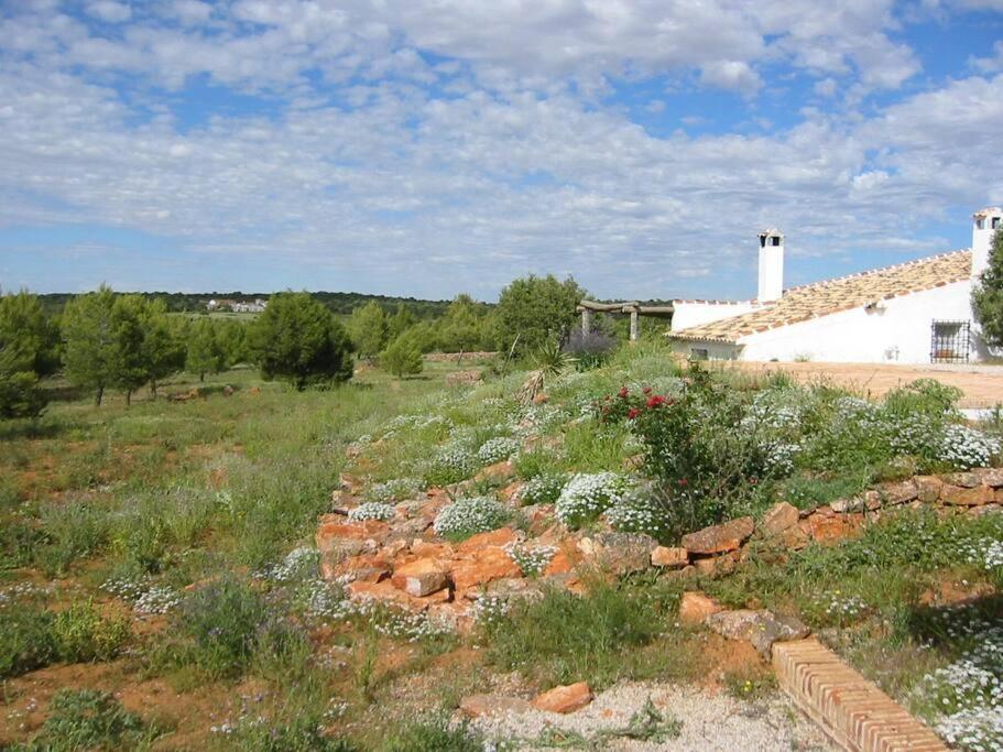 Gran Casa, Lagunas De Ruidera, Bbq, Porche, Chimenea Exterior foto