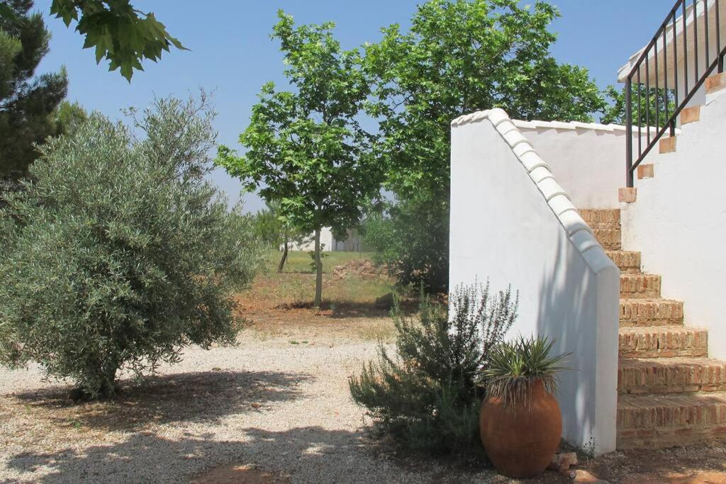 Gran Casa, Lagunas De Ruidera, Bbq, Porche, Chimenea Exterior foto